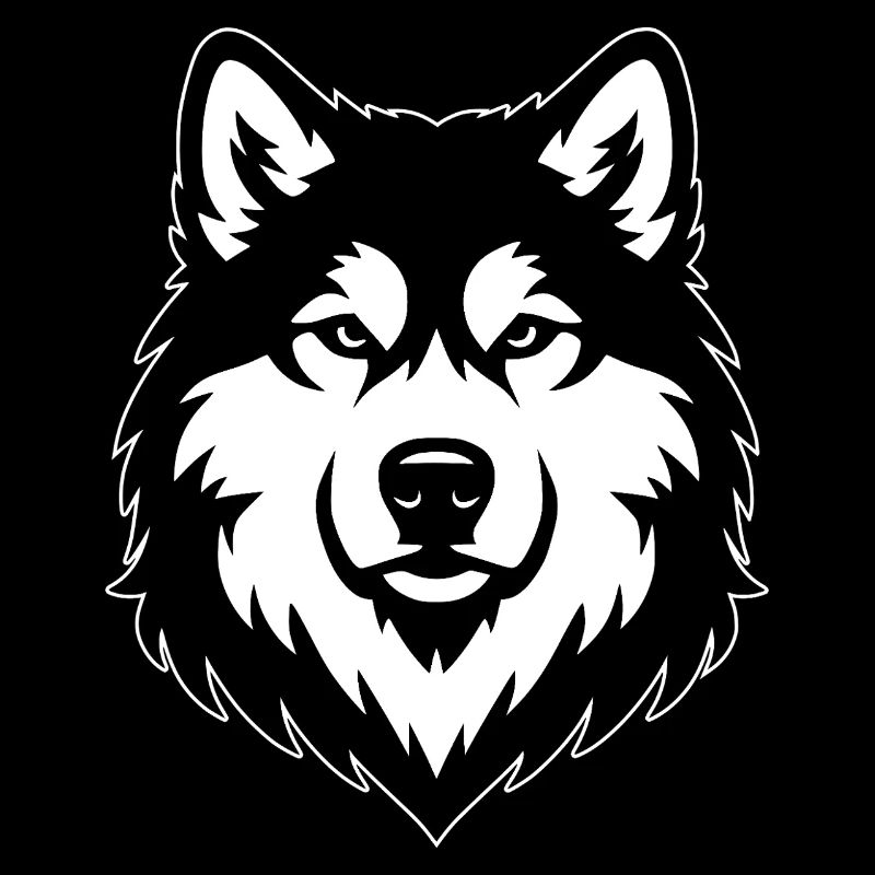 Malamute d’Alaska noir blanc