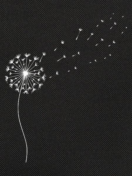 Dandelion Dandelion