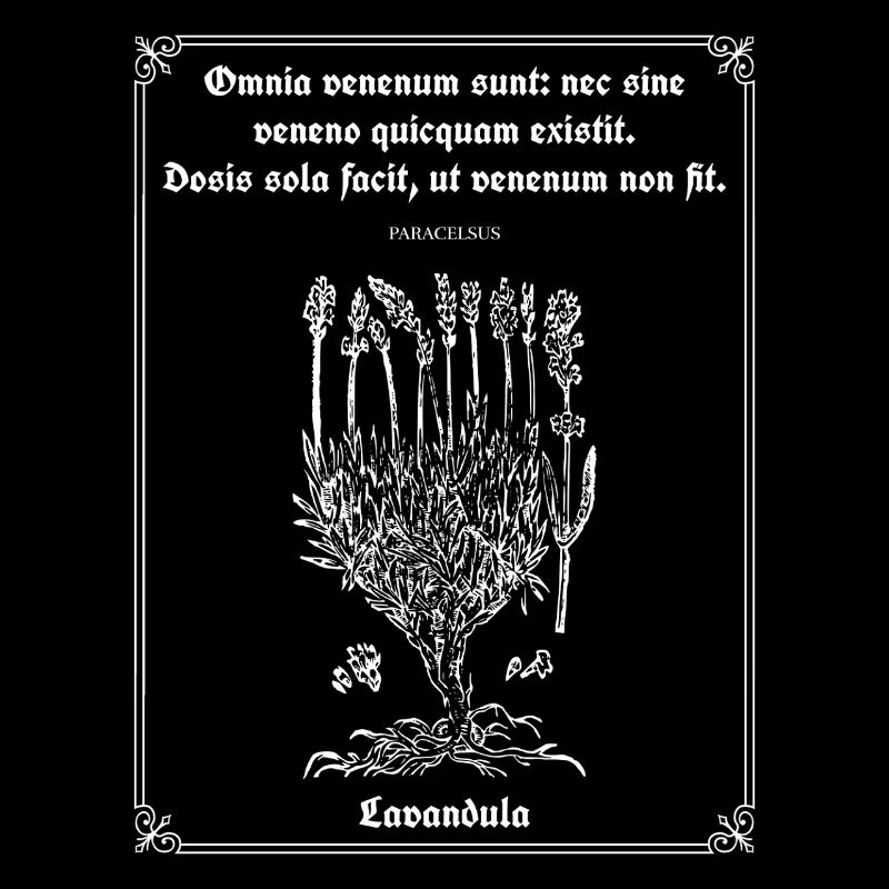 Citation latine de Paracelse – Illustration de lavande