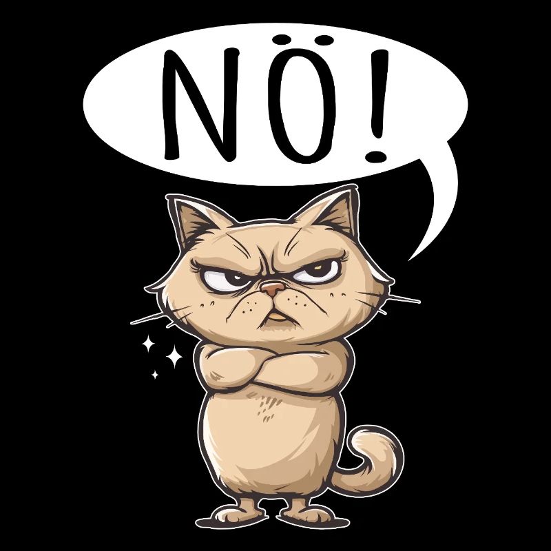 non facile non non chat chat drôle de dicton