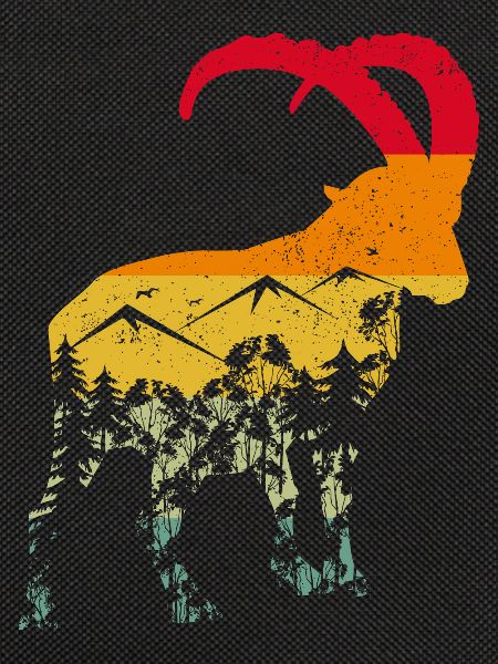 Steinbock, Wandern, Berge