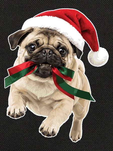 Verspielter Weihnachts Mops