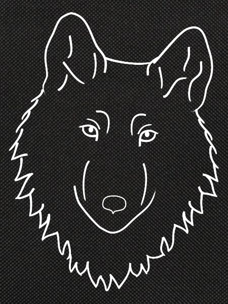 Wolf - white