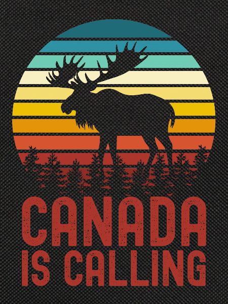 Canada moose