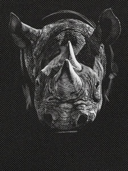 Nashorn