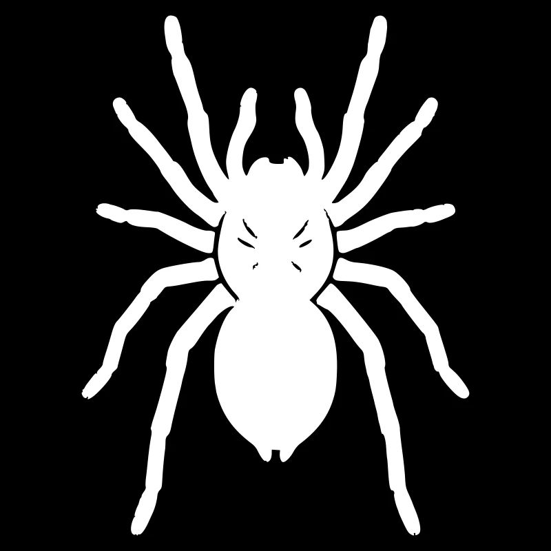 Tarantula Tarantula Realistic Vector