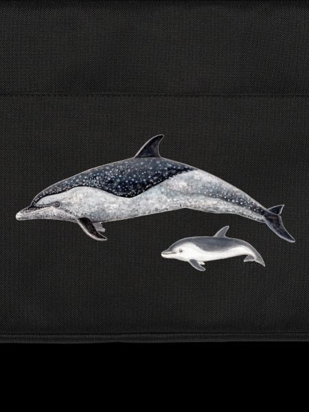 Spotted dolphin