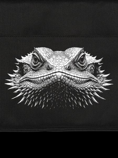 Bearded dragon