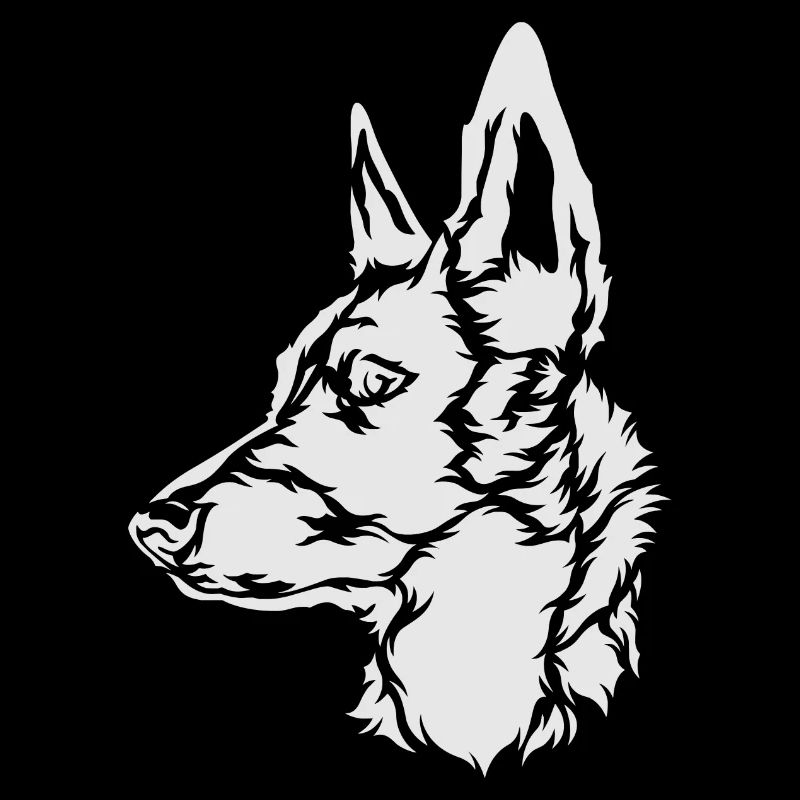 Malinois , Belgian Shepherd Holland Herder