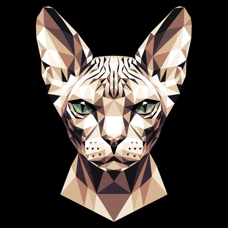 Sphynx Chat Sphynx Chat Chat Canadien Sphinx mignon
