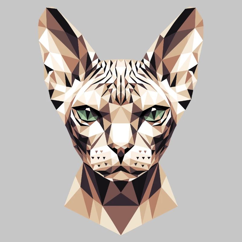 Sphynx Chat Sphynx Chat Chat Canadien Sphinx mignon