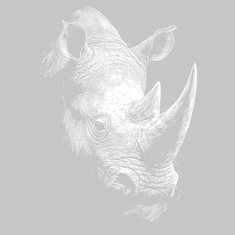 Nashorn