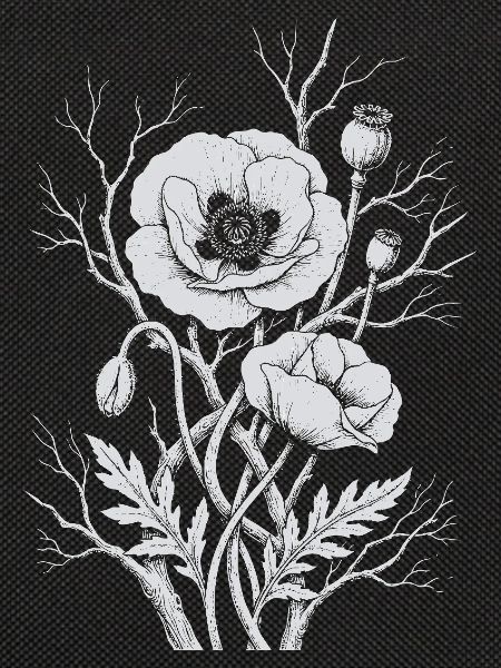 Mohnblumen