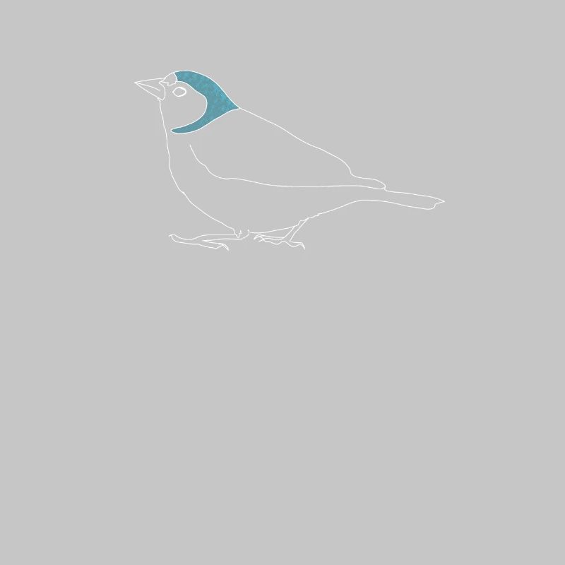 Buchfink