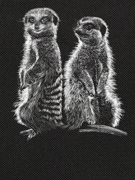 Erdmännchen