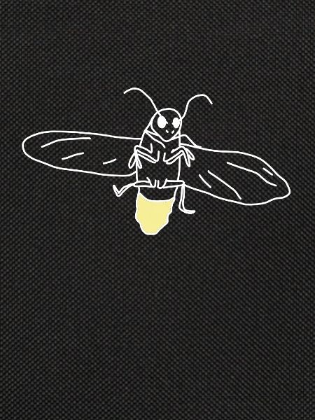 Firefly