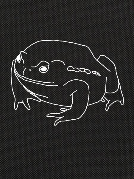 Kröte