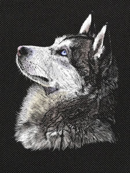 husky