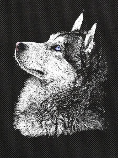 husky