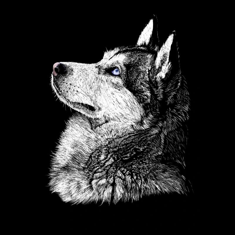 Husky