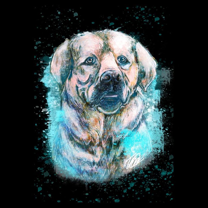 labrador Iceblue