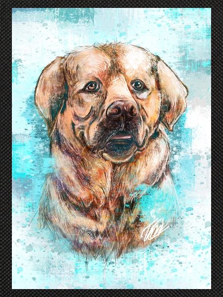 Labrador