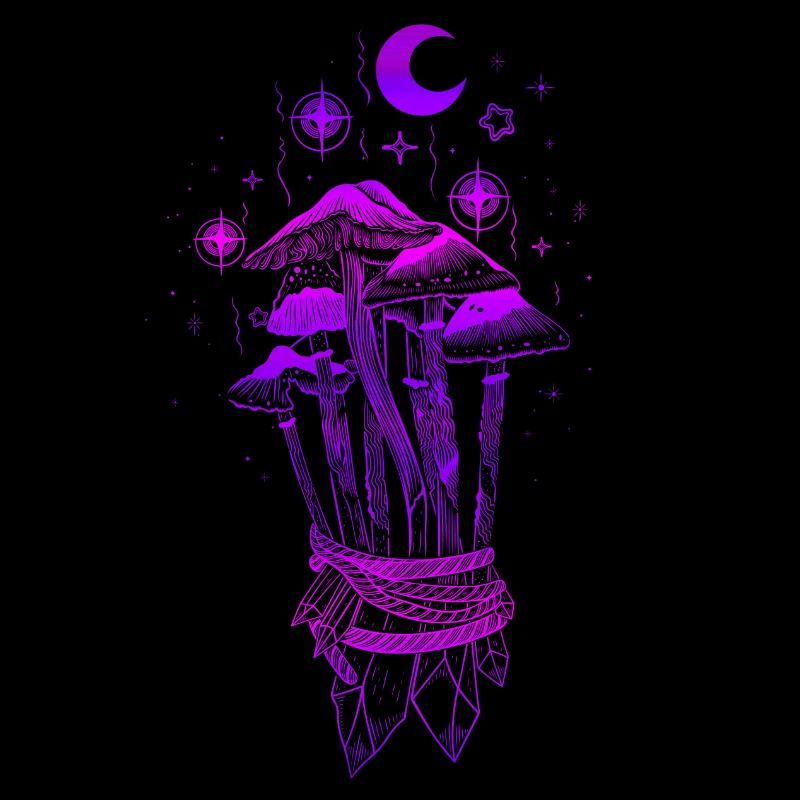 Champignons Champignons magiques