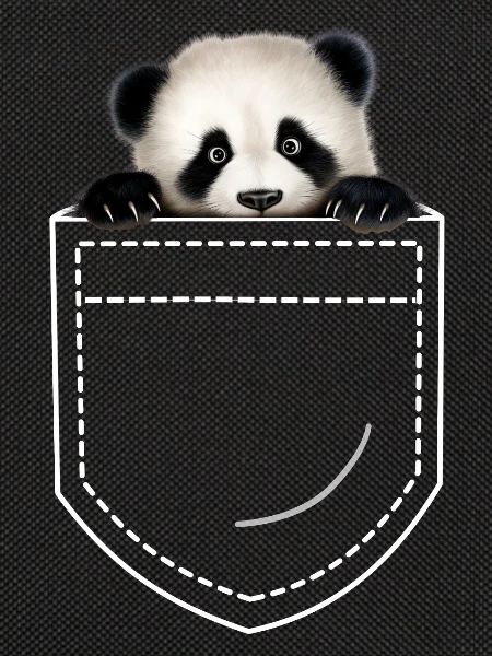 Panda Panda Bear