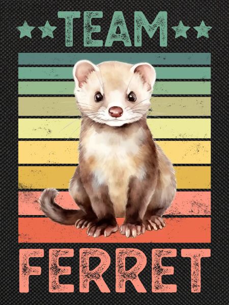 Ferret