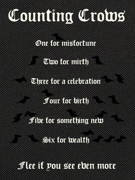 Crow Counting