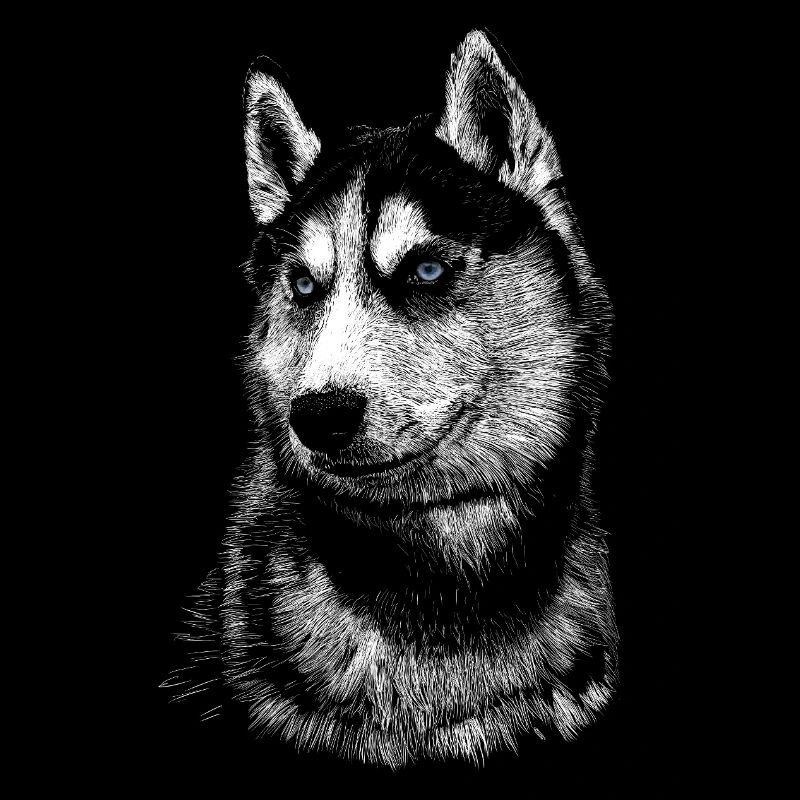 Husky