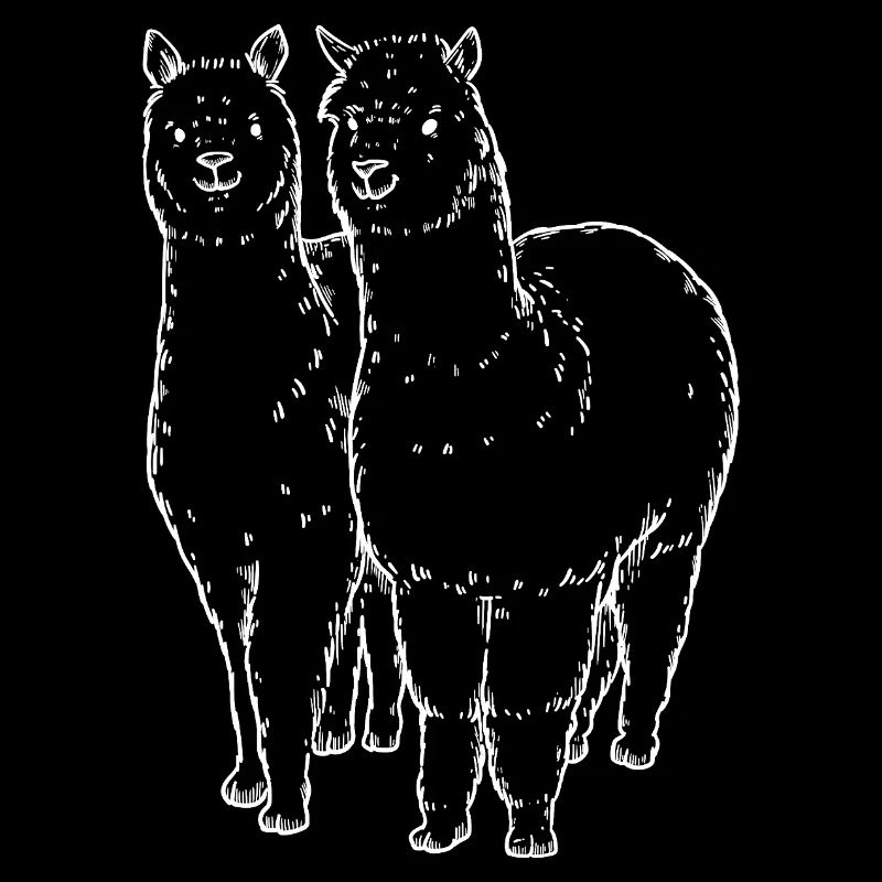 Dessin de lignes de deux lamas alpagas