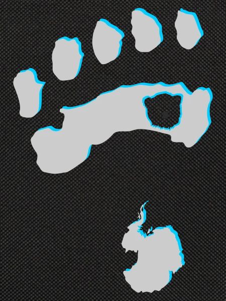 Eisbär 8