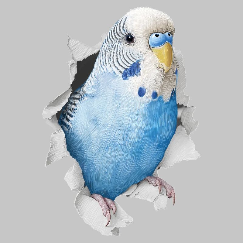 Budgerigar