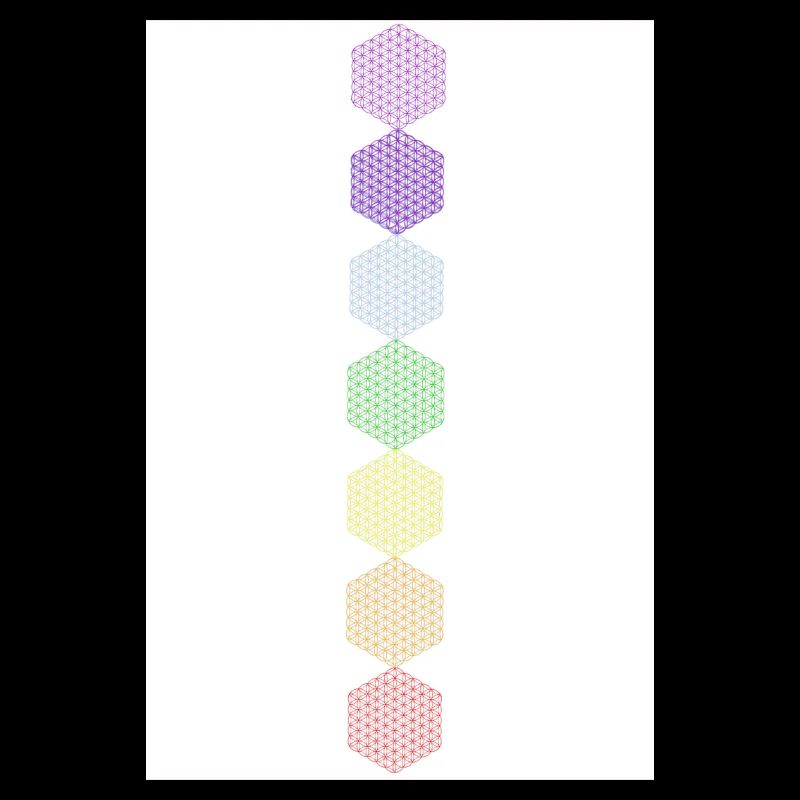 Fleur de Vie - 5ème Dimension - Affiche 7 Chakras
