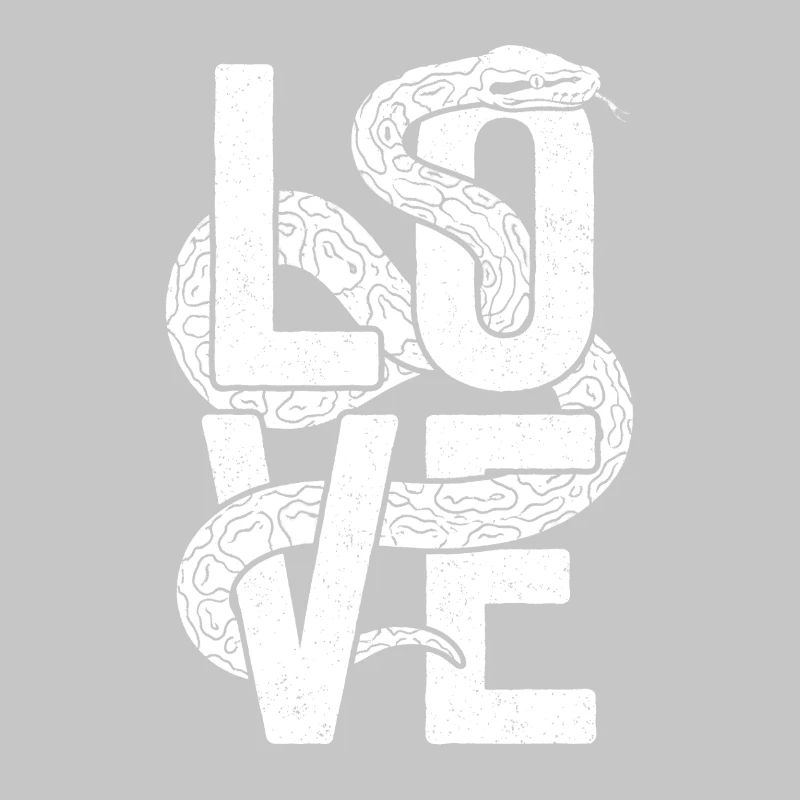 Les serpents rois Python ADORENT les pythons de terrarium