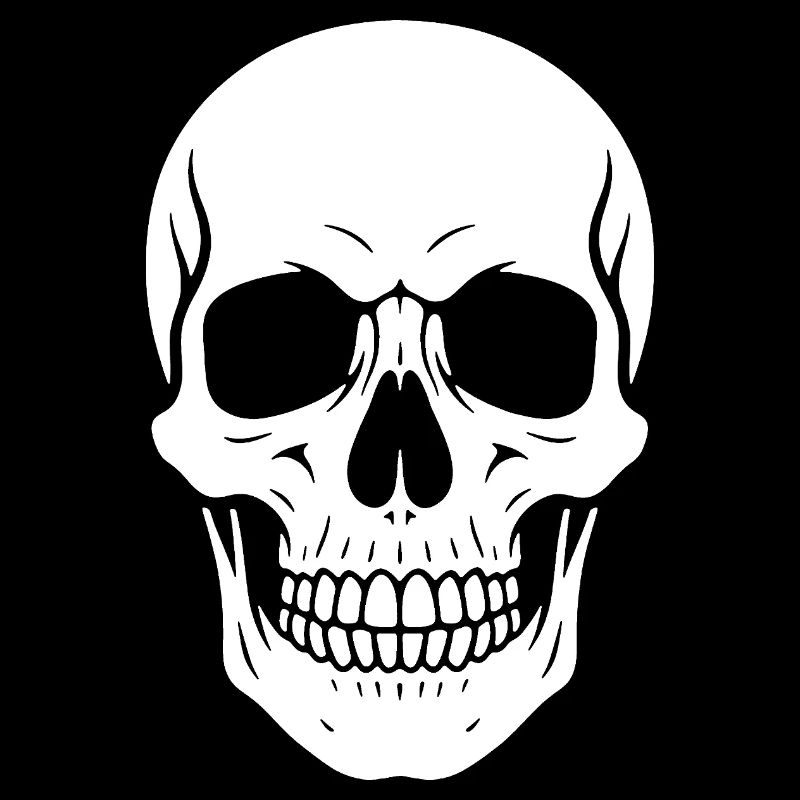 Skull Silhouette Graphic