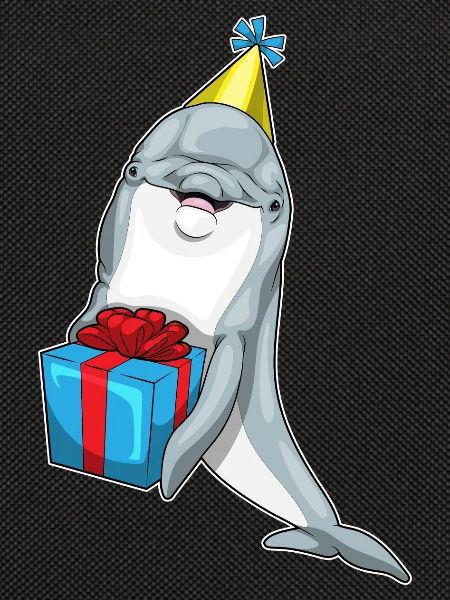 Dolphin Birthday Package