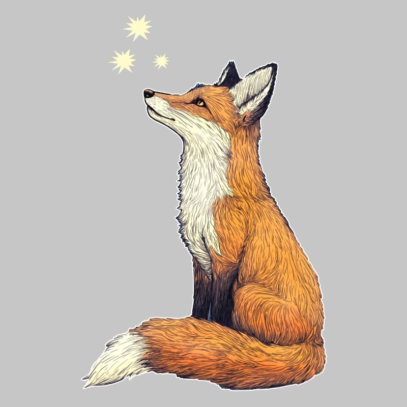 Fuchs mit Sternen