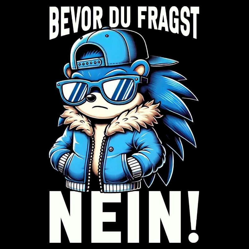 Bevor Du Fragst Nein Igel Schlechte Laune