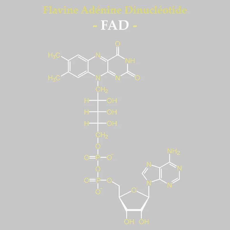 ADF Flavin-Adenin-Cofaktor