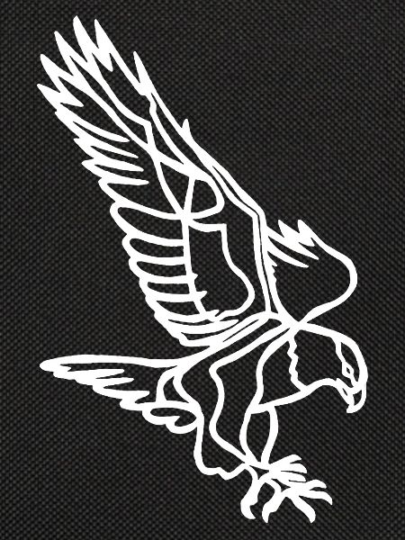 White Eagle in Flight