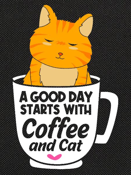 tabby cat