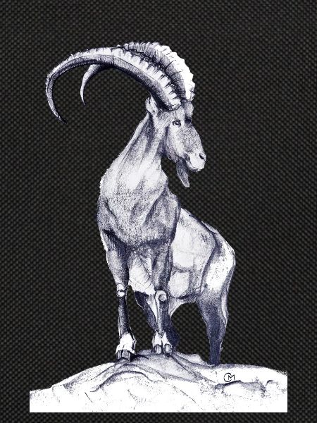 Steinbock