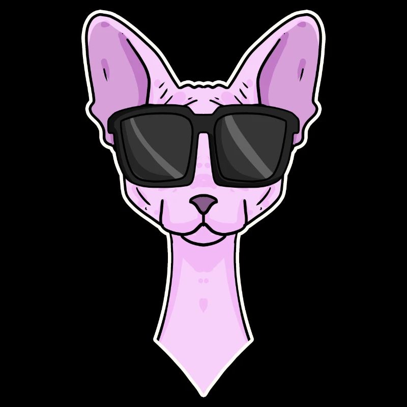 Chat cool avec lunettes de soleil - race de chat Sphynx