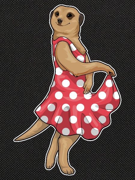 Meerkat Polkadot