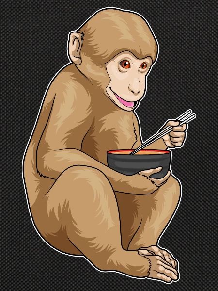 Affe Koch Ramen Kochen