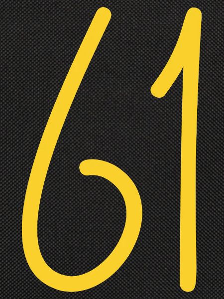 61