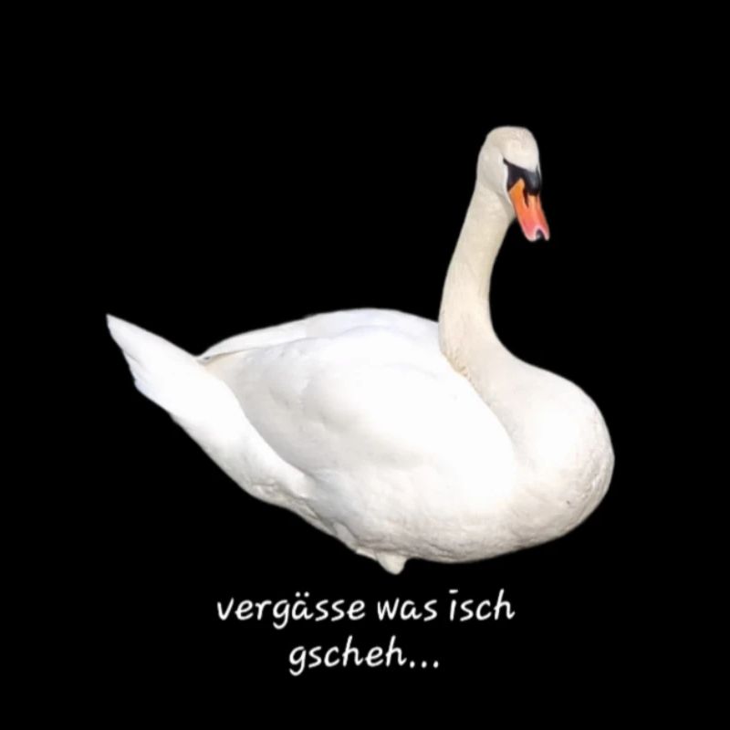 Vergässe was isch gscheh