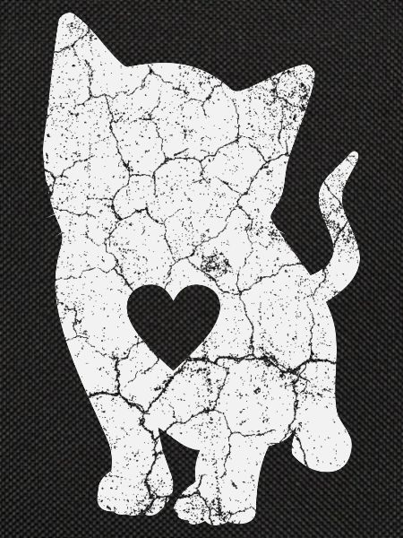 Cat Cats